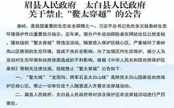 艺术品 第79页