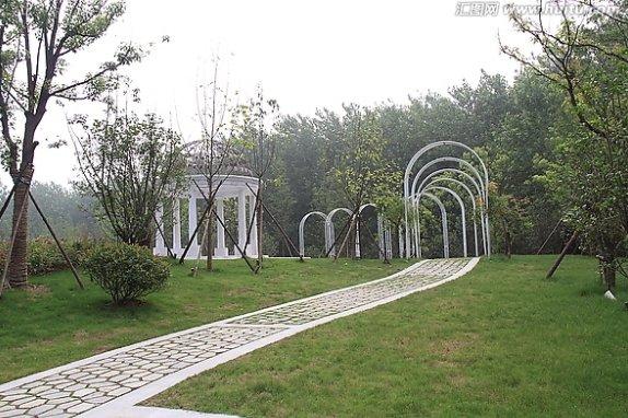 合肥滨湖最新建设引领科技新浪潮，打造未来生活新体验