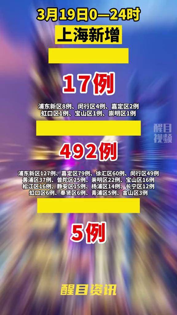 上海最新疫情消息下的隐秘小巷，探索一家特色小店